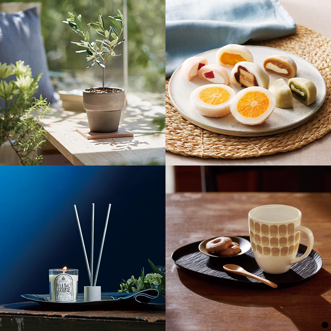 カードタイプ カタログギフト ミストラル オレガノ-C 商品説明