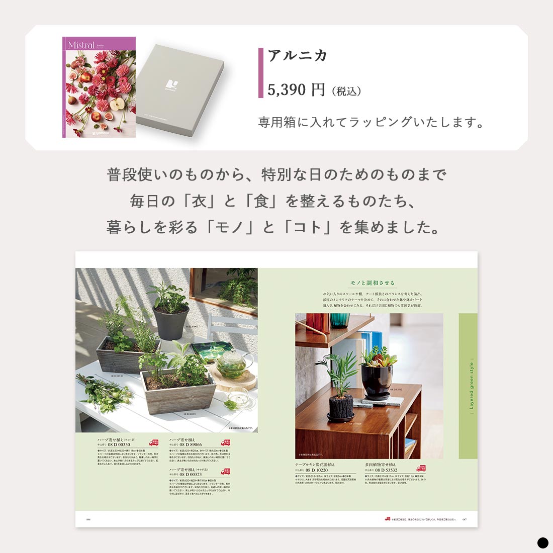 カタログギフト ミストラル(Mistral) ＜アルニカ＞ 商品説明