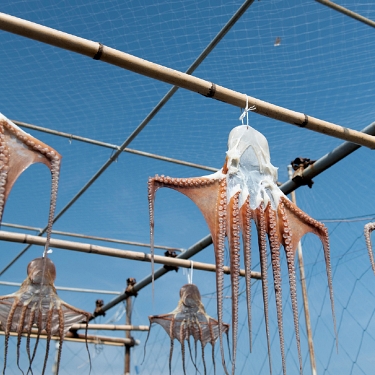 dancyu グルメギフトカタログ e-order choice CEコース 掲載商品イメージ画像