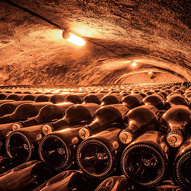 カタログギフト 銘酒 掲載商品イメージ画像