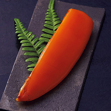 日本のおいしい食べ物 e-order choice 橙-C 掲載商品イメージ画像