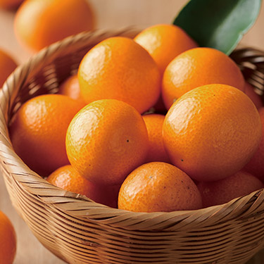 日本のおいしい食べ物 e-order choice 橙-C 掲載商品イメージ画像