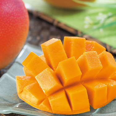 カードタイプ カタログギフト e-order choice 沙羅 桔梗-C  掲載商品画像