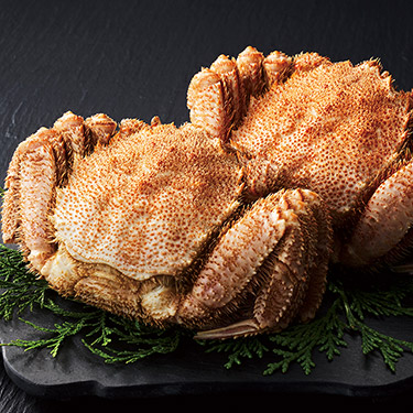 カードタイプ カタログギフト e-order choice サユウ やまばと-C 掲載商品