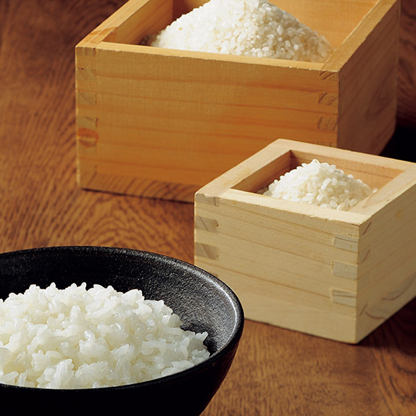 カードタイプ カタログギフト e-order choice ウルアオ(uluao) カテレイネ-C 掲載商品画像